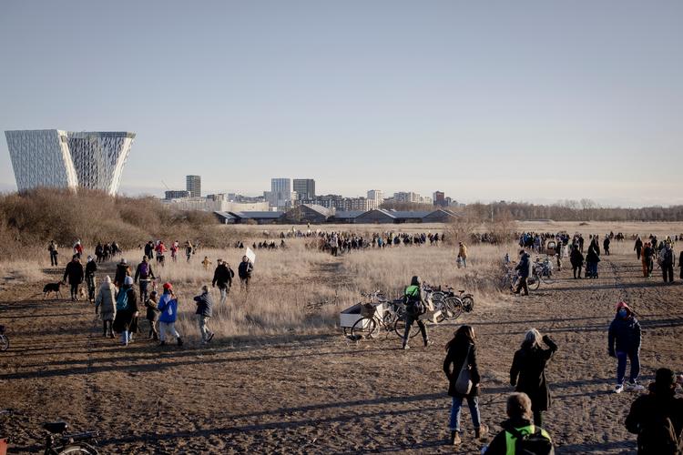 Konsekvenserne for beskyttede arter er ikke belyst godt nok. Derfor skal byggeprojektet på Amager Fælled indstilles. Foto: Valdemar Ren