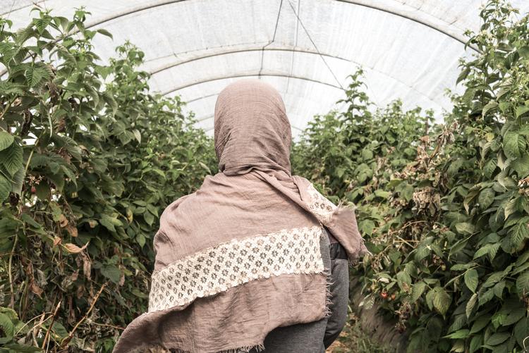 Foto: Stefania Prandi/Danwatch