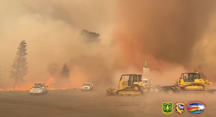Foto: U.s. Forest Service / Rachel Smi/Ritzau Scanpix