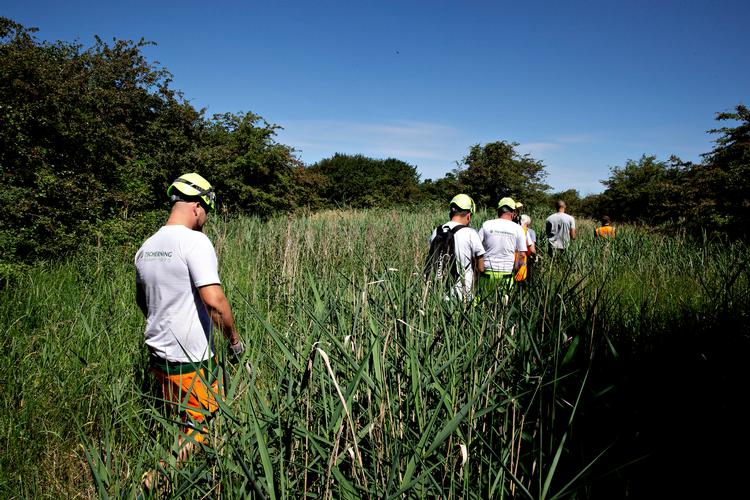 Arbejdet på at få bygget boligblokke på Amager Fælled er genoptaget. Arkivfoto. Foto: Martin Lehmann