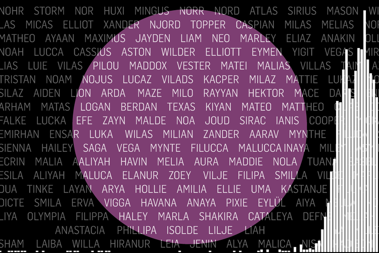 8_CLEANHer-er-det-nye-årtusindes-absolutte-højdespringernavne