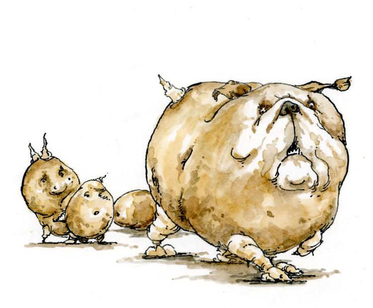 Foto: Roald Als/POLITIKEN