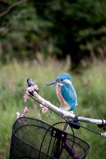 Foto: Nanna Navntoft