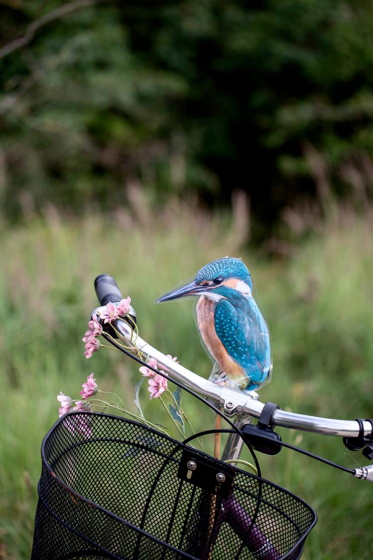 Foto: Nanna Navntoft