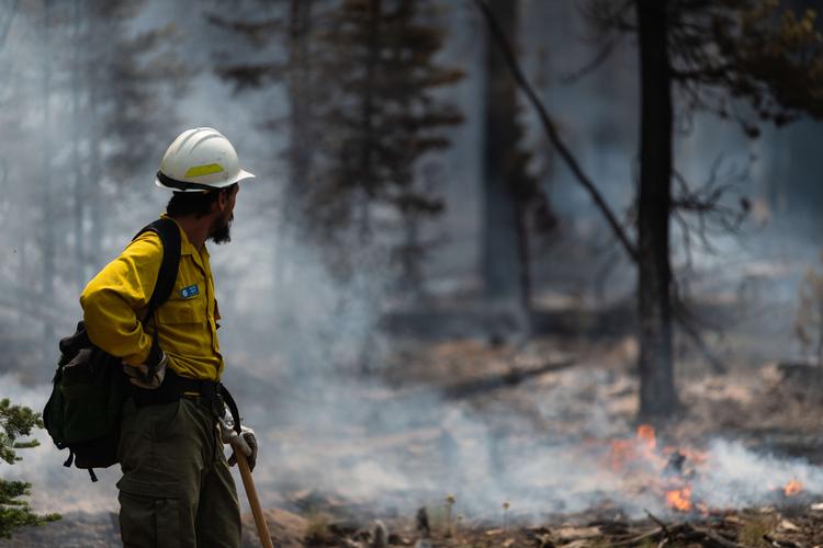 SILVER CREEK, OR - JULY, 23 : Fire Information Officer Jacob Welsh observes smoldering trees on the northern front of the Bootleg Fire on July 23, 2021 near Silver Creek, Oregon. The Bootleg Fire, which started on July 6th near Beatty, Oregon, has burned over 400, 000 acres and is currently 40 percent contained. Mathieu Lewis-Rolland/Getty Images/AFP == FOR NEWSPAPERS, INTERNET, TELCOS &amp; TELEVISION USE ONLY == Foto: Mathieu Lewis-rolland/Ritzau Scanpix