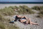 Reportage fra Amager Strandpark, hvor folk solbader. Kvinderne på billedet har ikke noget med historien at gøre. Foto: Andreas Haubjerg/POLFOTO