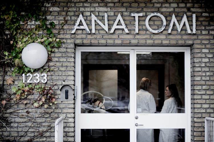 Foto: Magnus Holm/POLFOTO