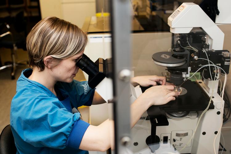     På Skejby Sygehus fertilitetsklinik hjælpes kvinder som har problemer med at blive gravide. Kvindens æg tages ud og bliver på klinikken befrugtet før det sættes tilbage i den kommende mor. Rie Bruun befrugter et æg med sædceller.    Foto: Gregers Tycho/POLFOTO