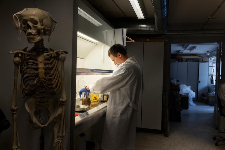 Anders skifter væsken i en beholder hvor en hjerne er konserveret.  Foto: Mads Nissen/POLFOTO