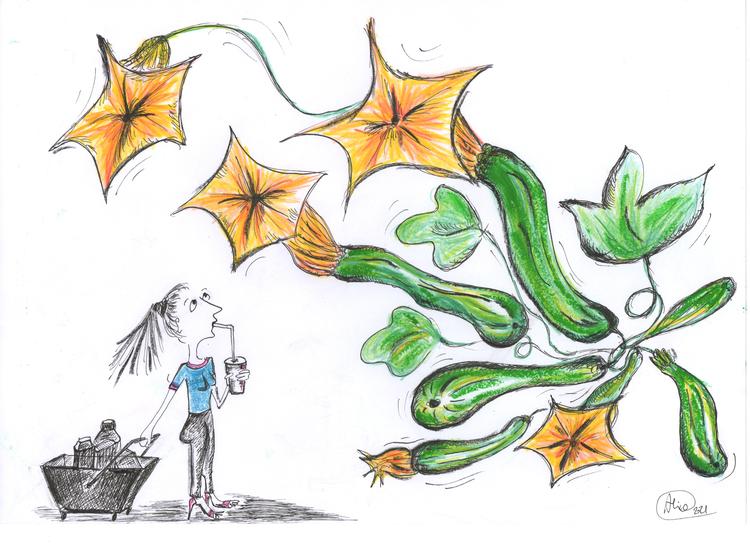 Alice de Champfleury ville ønske, at hun kunne købe sine frøntsager på et folkeligt madmarked.  Foto: Tegning: Alice de Champfleury