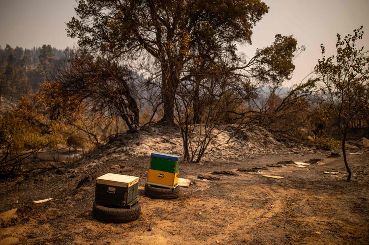 Foto: Angelos Tzortzinis/Ritzau Scanpix