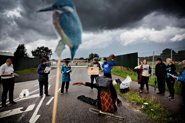 Miljøaktivister ved Amager Fælled fejrer den foreløbige sejr i Københavns Byret. Foto: Martin Lehmann