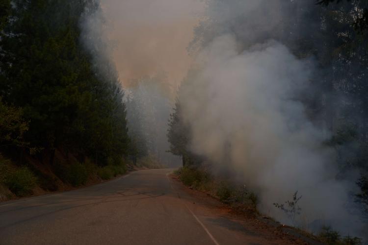 Røgen hænger over Pollock Pines, Californien. En skovbrand, der brød ud nær Californiens hovedstad, Sacramento, for bare et par dage siden, er eksploderet i omfang.
På blot 24 timer er den ottedoblet fra 2600 hektar til 21.600 hektar eller 216 kvadratkilometer. Det svarer til et område på størrelse med Møn. Foto: Allison Dinner/Ritzau Scanpix