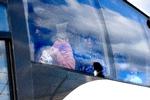 De første 84 evakuerede landede i Danmark torsdag morgen, og siden er flere fly landet i Københavns Lufthavn.  Foto: Finn Frandsen/POLFOTO