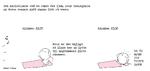 web_maren_2021-09-05