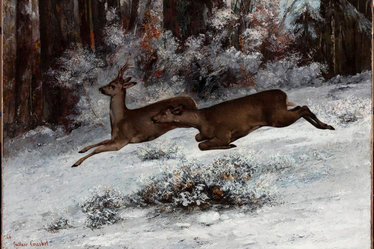 Gustave Courbets 'Vildsporet, jagtscene med rådyr' fra 1866 er med sine 130 cm i bredden et af de større malerier i samlingen af fransk kunst på Ordrupgaard. Det hænger smukt over for Claude Monets maleri af Fontainebleu-skoven med Rodins 'Grubleren' siddende imellem sig.  Foto: Anders Sune Berg