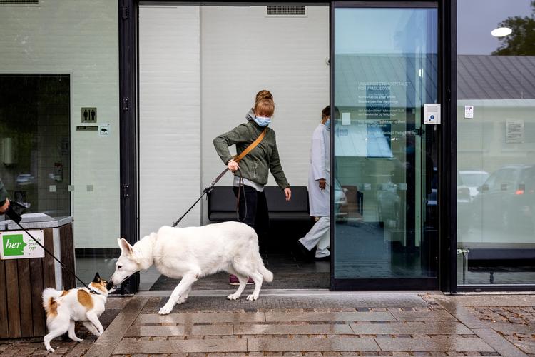     Landbohøjskolen på Frederiksberg er en af de uddannelser der, hvis det står til regeringen, skal flyttes ud af København og til Randers.   Foto: Jesper Houborg/POLFOTO