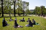 Københavns Kommune har omkring 100 grønne parker og pladser. Nu er en ny park på vej. Og den bliver dobbelt så stor som Kongens Have, der ses her på billedet. Foto: Finn Frandsen/POLFOTO