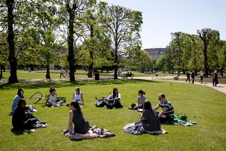 Københavns Kommune har omkring 100 grønne parker og pladser. Nu er en ny park på vej. Og den bliver dobbelt så stor som Kongens Have, der ses her på billedet. Foto: Finn Frandsen/POLFOTO