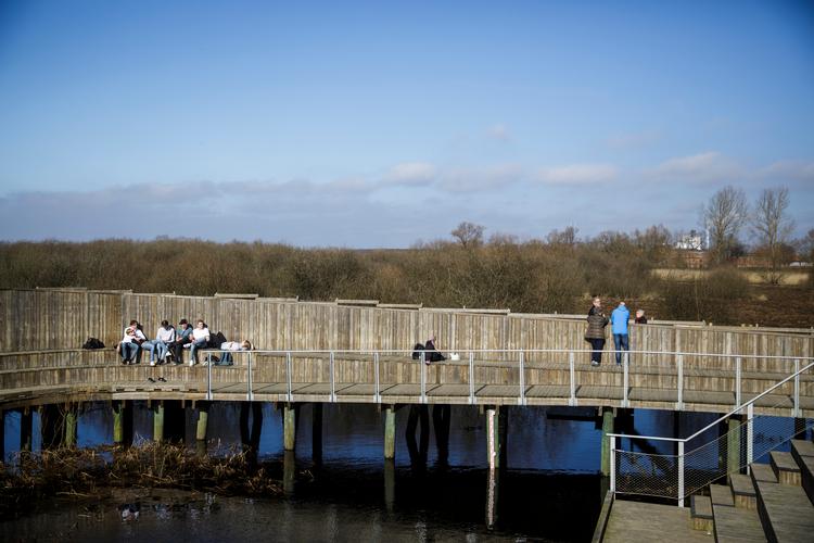 Hvis du vil nyde den sydsvenske natur i de kommende uger, skal du være 'ekstra forsigtig' ifølge Udenrigsministeriets nye rejsevejledning. Foto: Anders Rye Skjoldjensen/POLFOTO