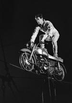 Belmondo lavede selv en række af sine stunts.    Foto: -/Ritzau Scanpix