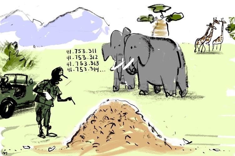 Tegning:  Mette Dreyer