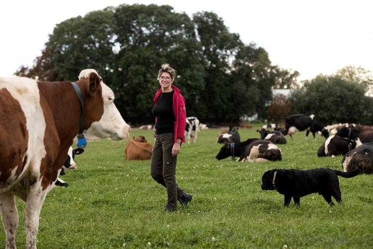 Yke W. Kloppenburg-Oosterwoud og hunden Jorus blandt køerne, en blandet skare af rødbroget og sortbroget, franske montbéliarde og krydsninger. Foto: Finn Frandsen