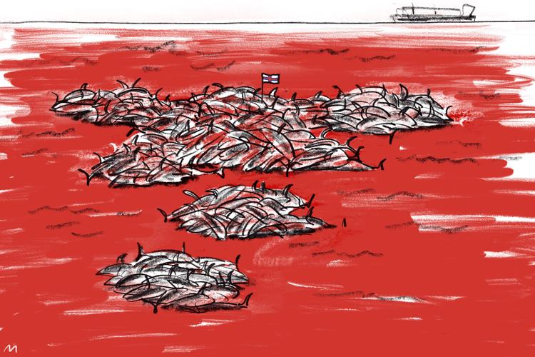 Foto: Mette Dreyer/POLITIKEN