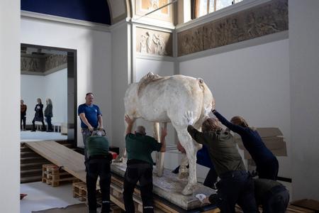 Her er et af forstudierne til Anne Marie Carl Nielsens rytterstatue på Christiansborg Ridebane ved at blive installeret på Glyptoteket. Foto: Marcus Emil Christensen