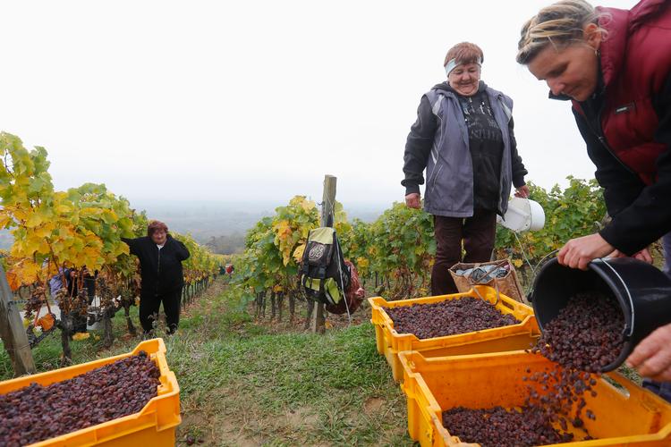 Foto: Laszlo Balogh/Ritzau Scanpix