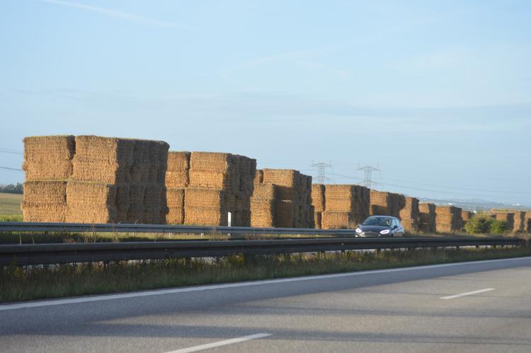 En 300 meter lang skulptur af halm møder bilisterne langs motorvejen syd for Aalborg. Foto: Søren Ryge Petersen 