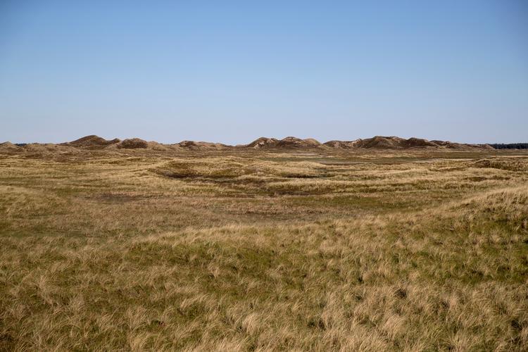 Foto: Peter Hove Olesen