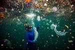 Foto: © Sebnem Coskun/tnc Photo Contest 2021