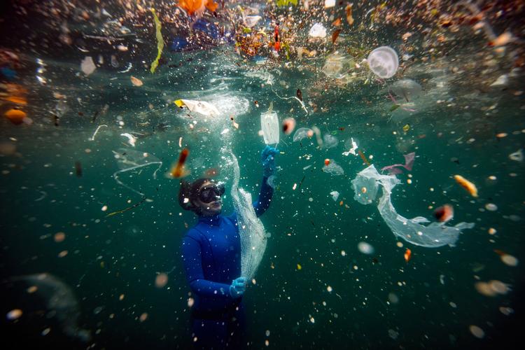 Foto: © Sebnem Coskun/tnc Photo Contest 2021
