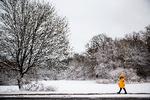»Temperaturen falder et par grader, men koldt, koldt bliver det ikke«, skrev DMI i den forgangne uge  på sin hjemmeside. Foto: Thomas Borberg