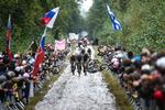 Dette er situationen, hvor Mads Pedersens drømme om succes i Paris-Roubaix knuses  af et styrt i Arenberg-skoven. Forhjulet på danskerens cykel anes ude til venstre. Foto: Francois Lo Presti/Ritzau Scanpix