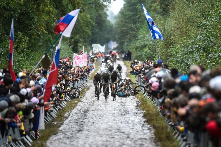 Dette er situationen, hvor Mads Pedersens drømme om succes i Paris-Roubaix knuses  af et styrt i Arenberg-skoven. Forhjulet på danskerens cykel anes ude til venstre. Foto: Francois Lo Presti/Ritzau Scanpix