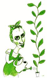 Foto: Claus Nørregaard/POLITIKEN