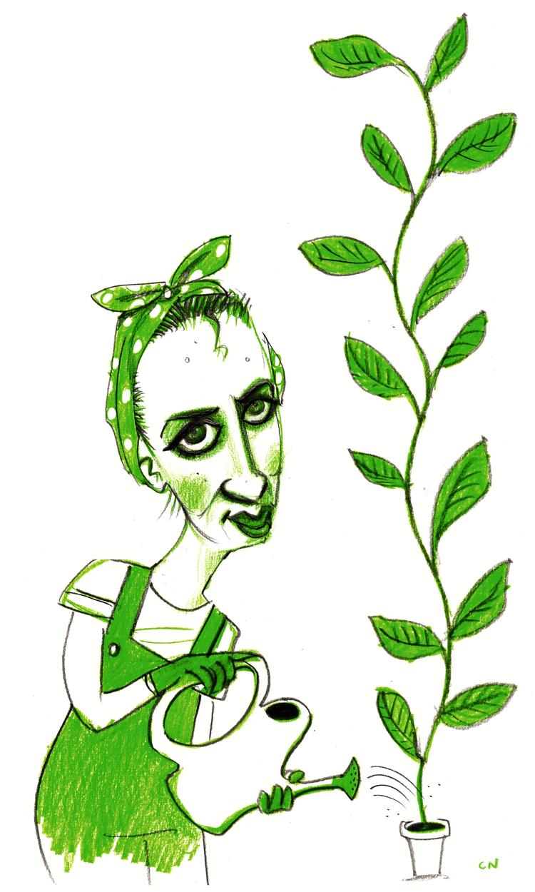 Foto: Claus Nørregaard/POLITIKEN