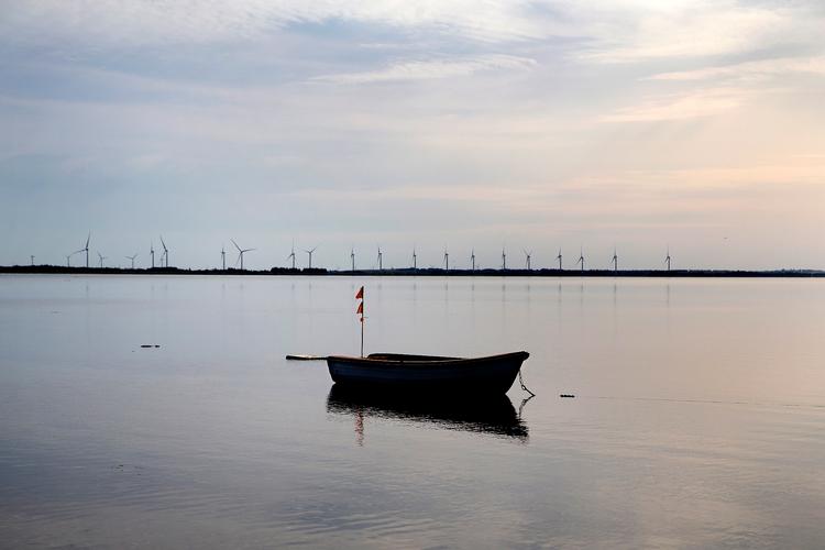  Kvælstofbelastningen af fjorde og kystvande, her Limfjorden er for høj. Foto: Finn Frandsen