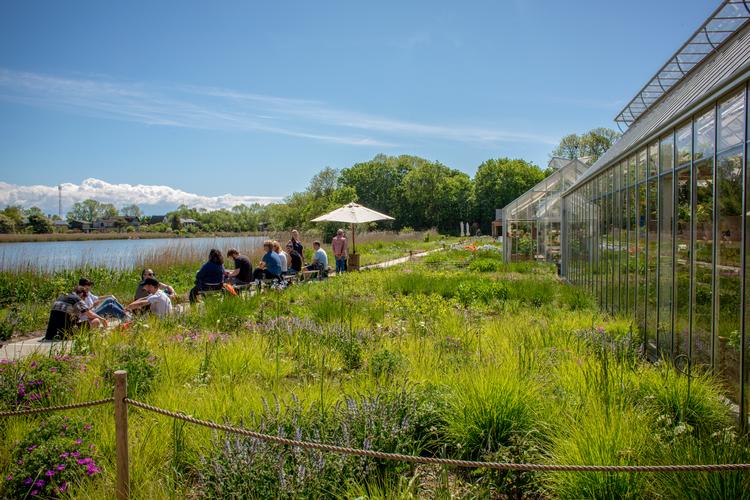 Noma bliver nummer et ved prisuddelingen World’s 50 Best Restaurants. Foto: Miriam Dalsgaard