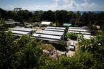 Foto: Jason Oxenham/Ritzau Scanpix