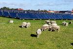 Sådan kan en fjernvarmekilde også se ud. Marstal Fjernvarmeforsyning er et af de selskaber, der er gået over til solenergi. Overskudsvarme lagres i store bassiner. Foto: Carsten Andreasen