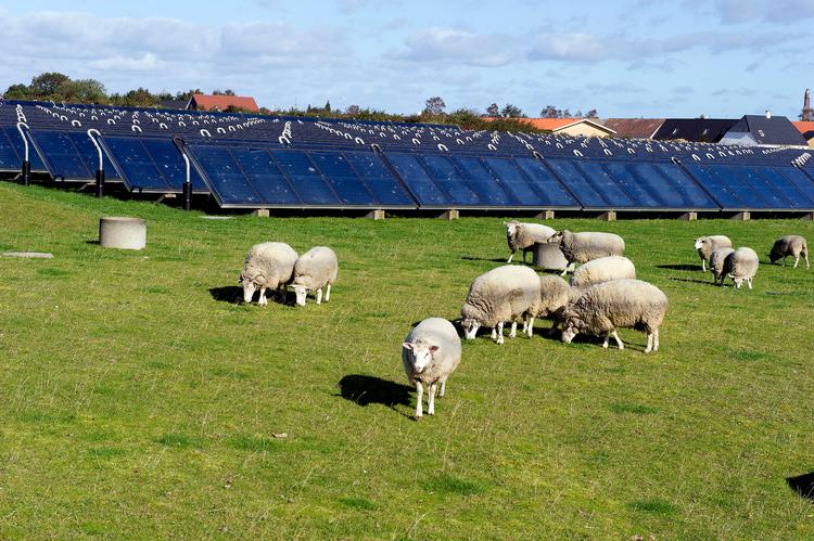 Sådan kan en fjernvarmekilde også se ud. Marstal Fjernvarmeforsyning er et af de selskaber, der er gået over til solenergi. Overskudsvarme lagres i store bassiner. Foto: Carsten Andreasen