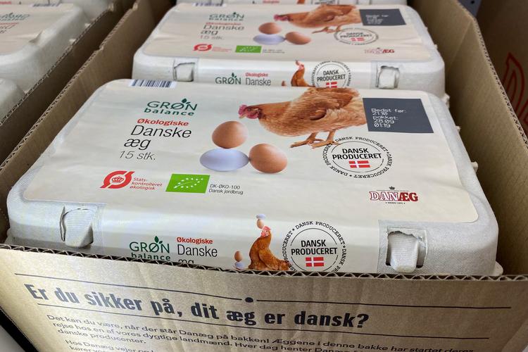 Efterspørgslen på æg i str. L-XL har næsten udryddet de små æg i kølediskene. Men selv, hvis vi køber små æg, som er ca. 20 gram mindre end de største, løser det ikke problemet med lægge-høner, der brækker brystbenet. Foto: Charlotte Branner