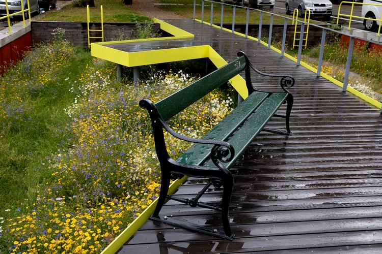 I kvarteret Sydhavnen er der flere grønne åndehuller med højt græs og vilde blomster. Saml løs af byens vilde gevækster, og skab selv mere grønt over hele byen. Foto: Finn Frandsen