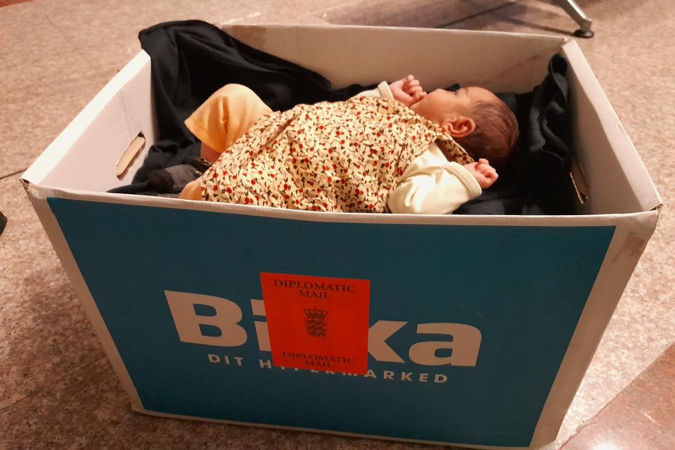 Babyseng