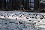 Hvert år deltager mange svømmere i Christiansborg Rundt i Københavns Havn. Turen er på to kilometer.   Foto: Miriam Dalsgaard