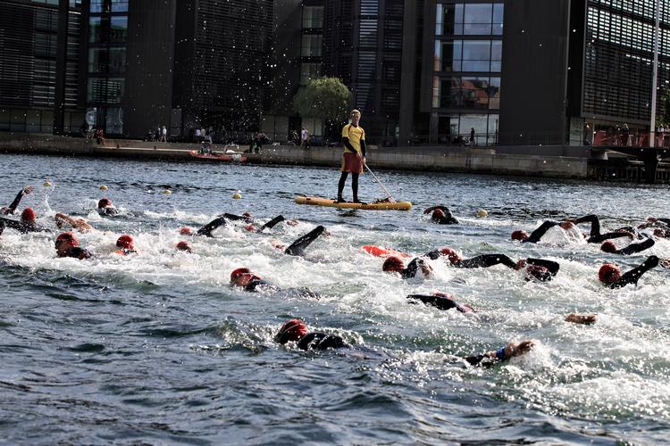 Hvert år deltager mange svømmere i Christiansborg Rundt i Københavns Havn. Turen er på to kilometer.   Foto: Miriam Dalsgaard