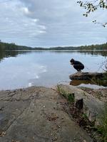 Når du vågner i Pevon Ecotourism er der få skridt til søen, hvor man kan tage en dukkert eller blot sidde og nyde den uendelige stilhed i de tidlige morgentimer.  Foto: Eva Holtegaard-Kasler